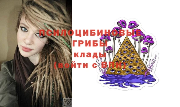 apvp Баксан