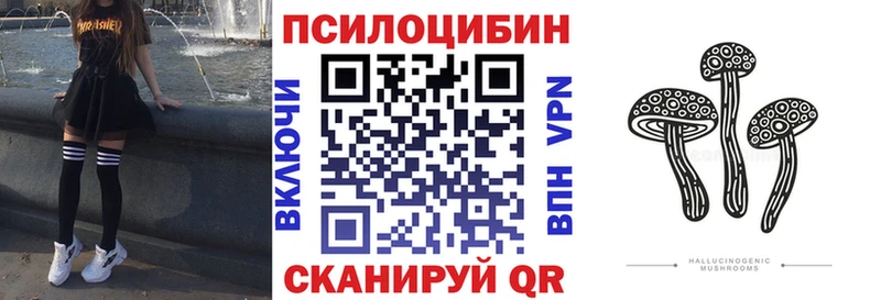 Псилоцибиновые грибы прущие грибы  Баксан 